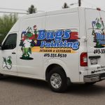 Bugs Painting