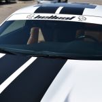 Hellcat Vinyl Eyebrow