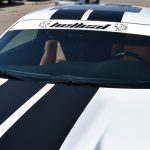 Hellcat Vinyl Eyebrow