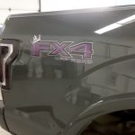Purple Princess Fx4