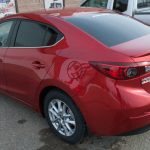Car Tint