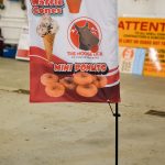 Moose Lick Flag